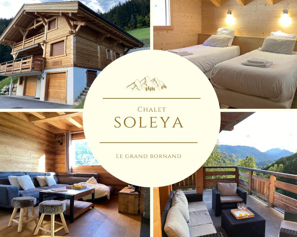 Chalet Soleya Le Grand-Bornand Εξωτερικό φωτογραφία