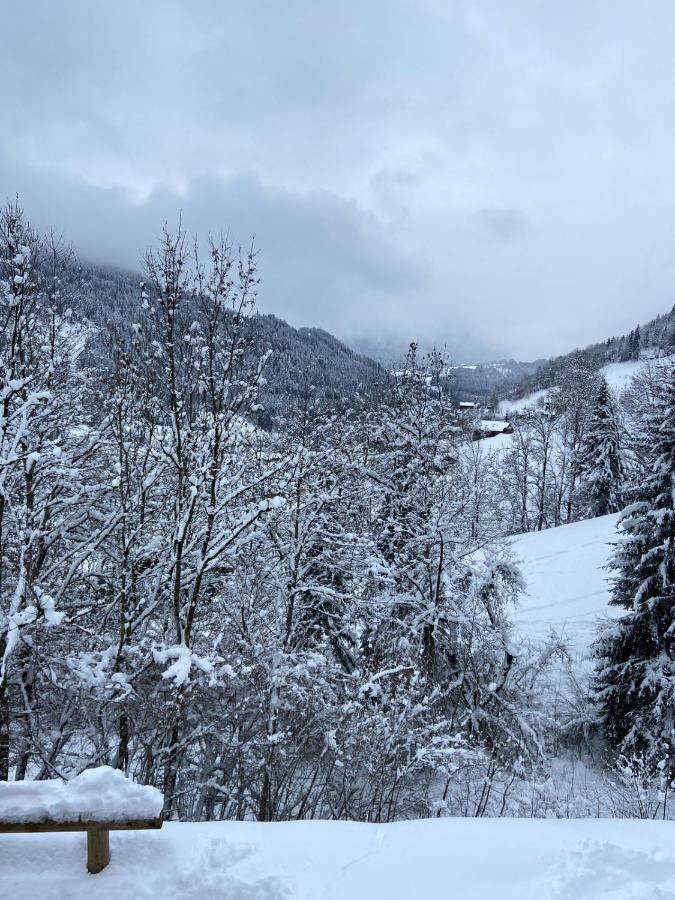 Chalet Soleya Le Grand-Bornand Εξωτερικό φωτογραφία
